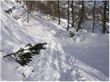 Planina Zajavornik - Mrežce